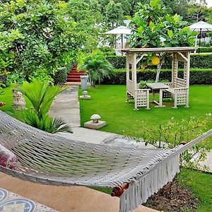 Superior Villa